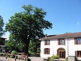 Roville-aux-Chênes httpsuploadwikimediaorgwikipediacommonsthu