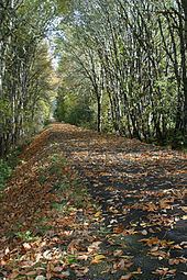 Row River National Recreation Trail httpsuploadwikimediaorgwikipediacommonsthu