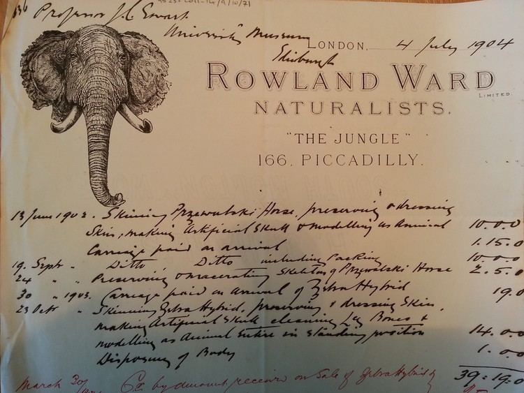 Rowland Ward Letters in the Limelight Rowland Ward taxidermist