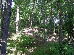Rowlandton Mound Site httpsuploadwikimediaorgwikipediacommonsthu