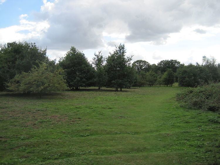 Rowley Lodge Field