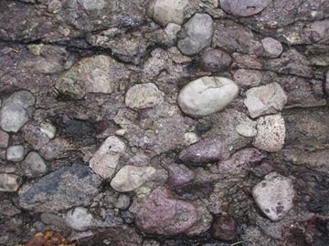 Roxbury Conglomerate ANCIENT SOUVENIRS Discovering Roxbury Puddingstone in Dorchester