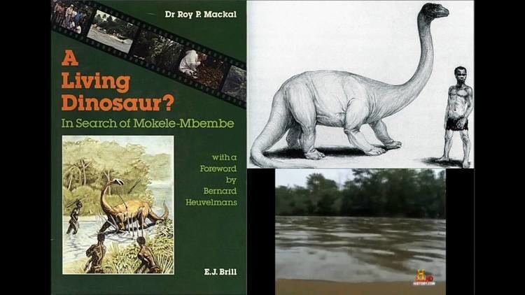 LIVING DINOSAUR ? In Search Of Mokele Mbembe Dr Roy Mackal SIGNED!! 1987  CRYPTID