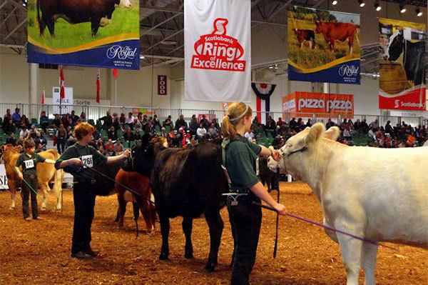 Royal Agricultural Winter Fair Royal Agricultural Winter Fair BeSocial Events Recommends