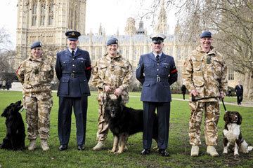 Royal Air Force Police RAF Police Dogs