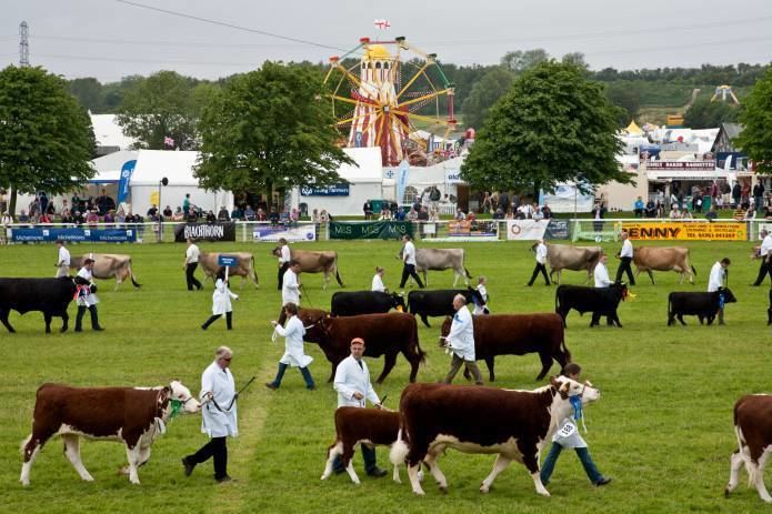 Royal Bath and West Show Big year for the Royal Bath amp West Show Yeovil Press with