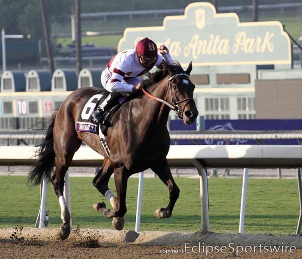 Royal Delta Horse of the Year PointCounterpoint Wise Dan vs Royal Delta