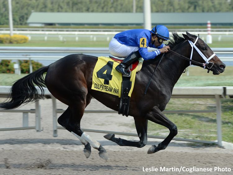 Royal Delta Penwith Gets First Graded Victory In Royal Delta Stakes Horse