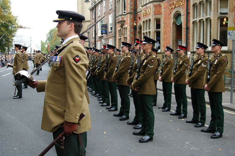 Royal Dragoon Guards No2 Dress green uniform Trousers Breeches Overalls RDG 38w 