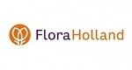 Royal FloraHolland httpswwwroyalflorahollandcomimagesogLogojpg