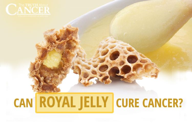 Royal jelly Can Royal Jelly Cure Cancer