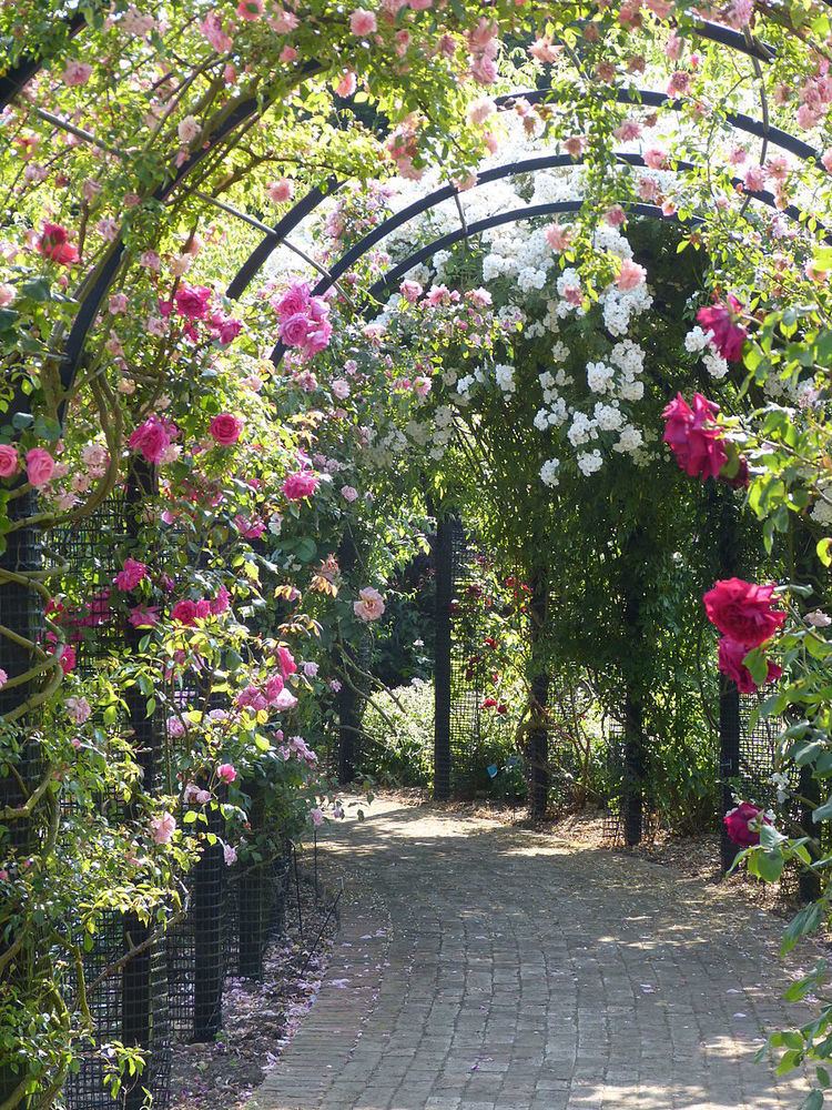 Royal National Rose Society Gardens