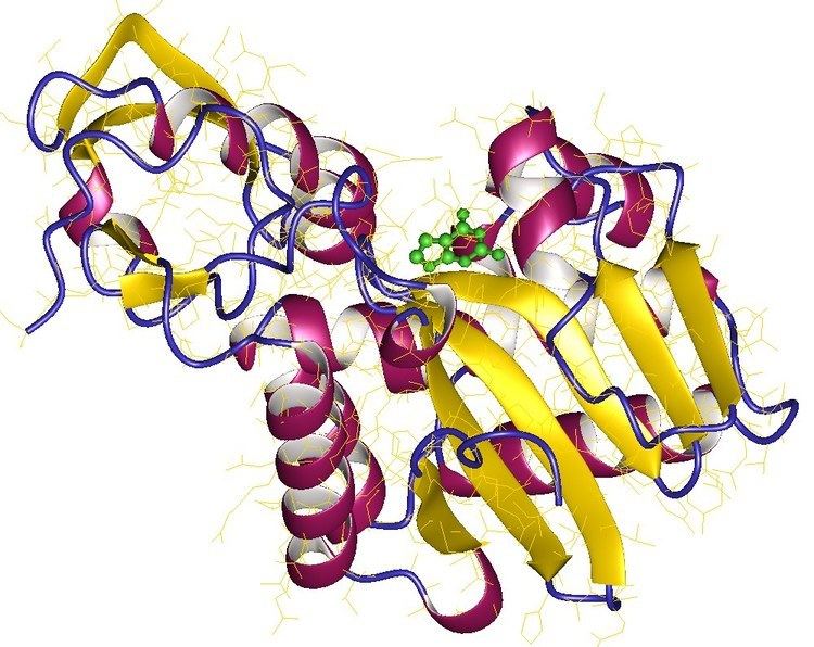 RRNA N-glycosylase