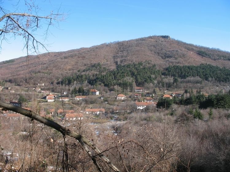 Rtanj (Boljevac)