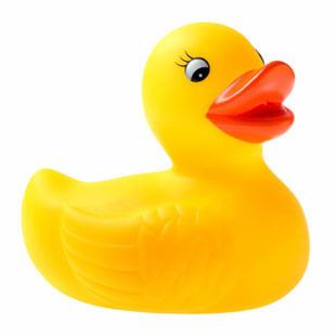 Rubber duck Rubber Duck National Toy Hall of Fame