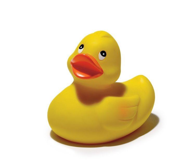 Rubber duck The Rubber Duck Knows No Frontiers39 The New York Times