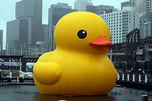 Rubber duck httpsuploadwikimediaorgwikipediacommonsthu