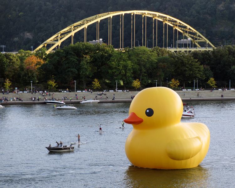 Rubber Duck (sculpture) sculpture Rubber Duck Project by Florentijn Hofman Downtown Pittsburgh