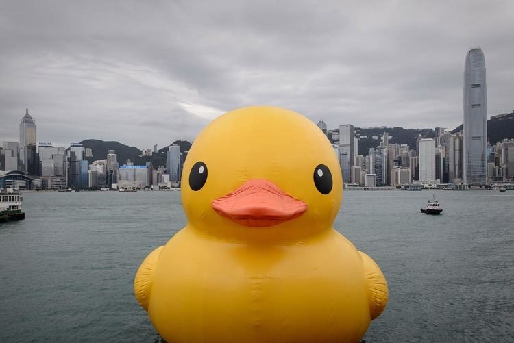 Rubber Duck (sculpture) Ahhh Big rubber duck takes over Hong Kong next stop is the USA