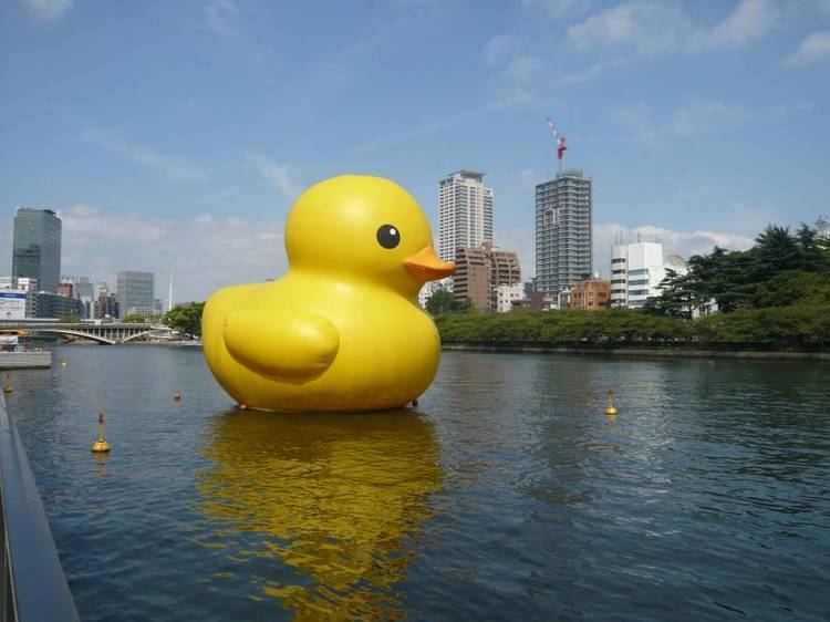 Rubber Duck (sculpture) Giant duck to make its return The Japan Times