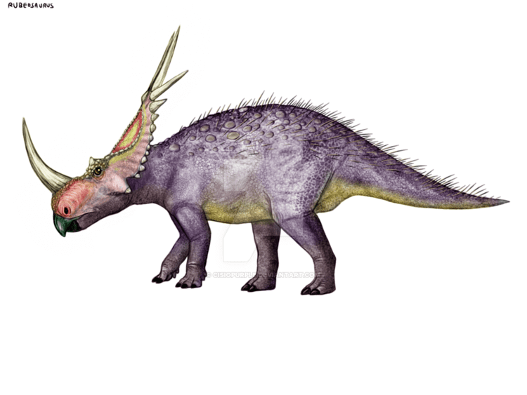 Rubeosaurus Rubeosaurus by cisiopurple on DeviantArt