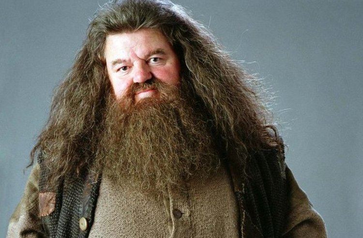 Rubeus Hagrid Remember Rubeus Hagrid from 39Harry Potter39 See what actor Robbie