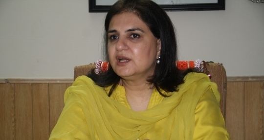 Rubina Khalid Efforts not being made on parliamentary level for promotion of tax
