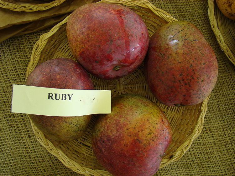 Ruby (mango)