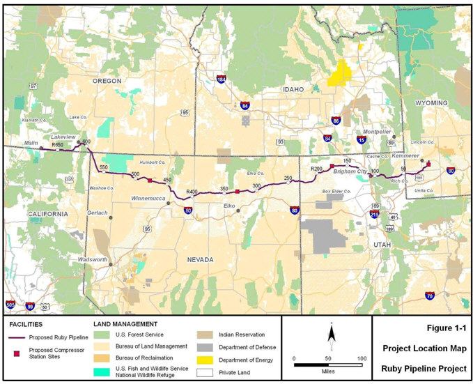 Ruby Pipeline Lawsuit Filed to Stop 677mile Ruby Pipeline and Protect Endangered Fish