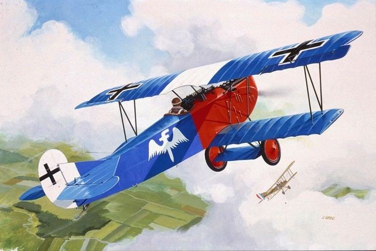 Rudolf Berthold Fokker DVII of Rudolf Berthold World War I Aircraft Pinterest