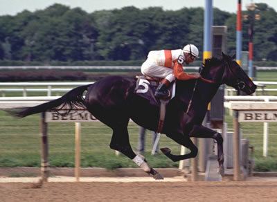 Ruffian (horse) 1000 images about Ruffian on Pinterest Horse racing Libraries