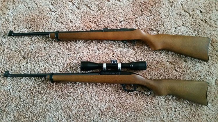 Ruger Model 96