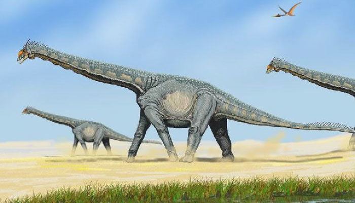 Rukwatitan Rukwatitan Bisepultus New species of dinosaur found in Tanzania