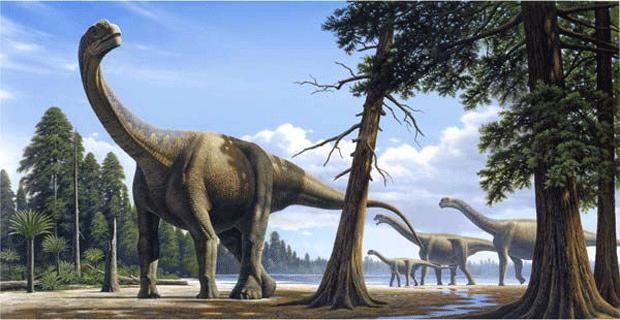 Rukwatitan ZANZIBAR NI KWETU Rukwatitan bisepultus New Titanosaur Discovered