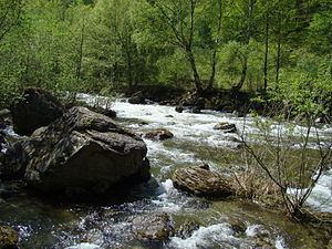Râul Mare (Strei) httpsuploadwikimediaorgwikipediacommonsthu