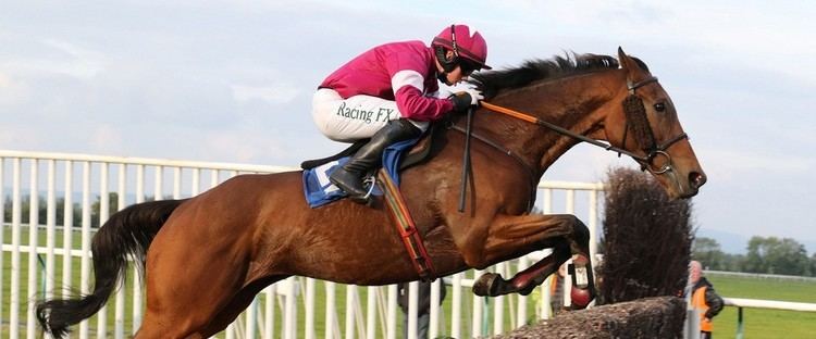 Rule the World (horse) Gowran Park Preview Galmoy Hurdle Thyestes Chase