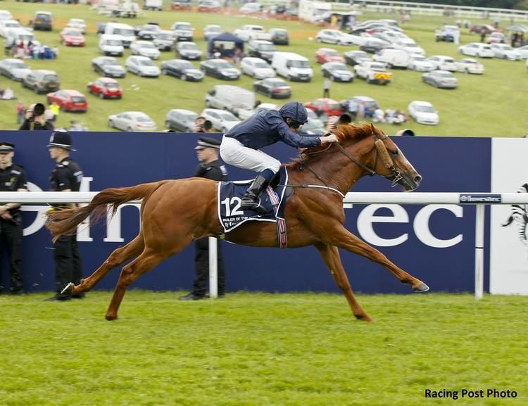Ruler of the World Ruler Of The World a Top Contender for Sunday39s Arc Horse Racing