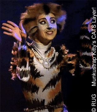 Rumpleteazer Rumpleteazer from CATS the Musical Dress Up Pinterest Cats