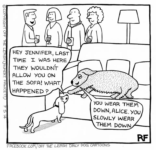 Rupert Fawcett Off The Leash Dog Cartoons Jennifer39s Advice Off The Leash