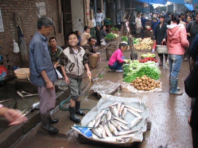 Rural society in China