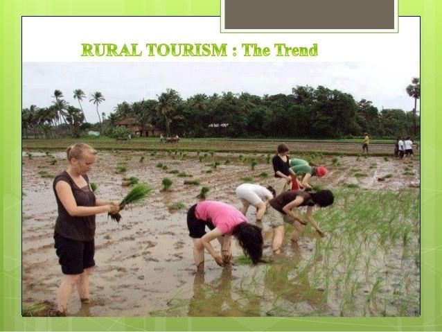 Rural tourism httpsimageslidesharecdncomruraltourismpromot