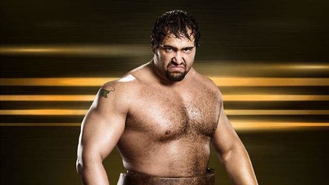 Rusev (wrestler) WWE39s Alexander Rusev 5 Fast Facts You Need to Know Heavycom