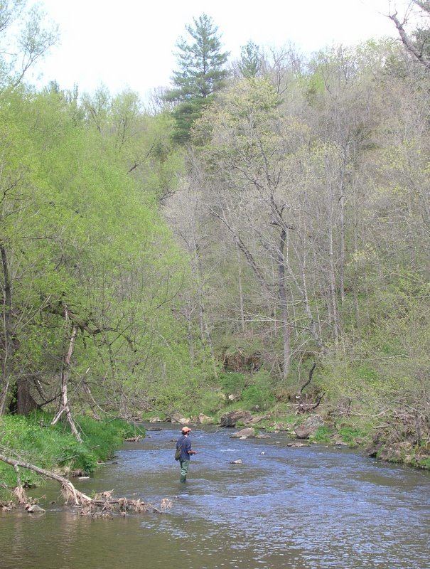 Rush River (Wisconsin) Paddling and fishing the trout rivers of western Wisconsin Greg Seitz