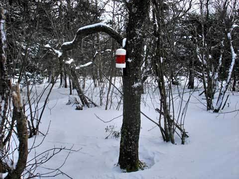 Rusk Mountain catskillmountaineercomimagesHWKrusk0115jpg