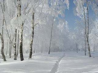 Russian Winter Russian winter and Borsch Recipe Delish Potpourri