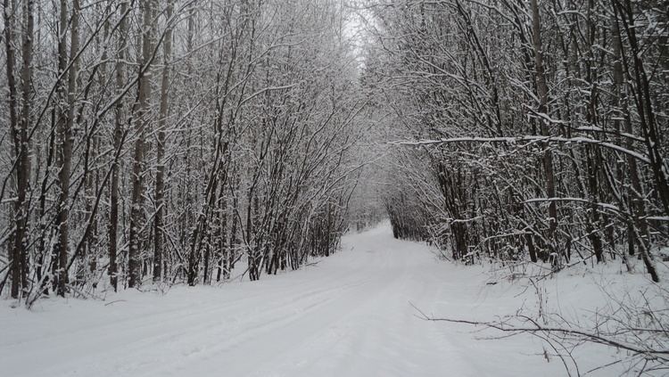 Russian Winter Russian winter by annzet on DeviantArt