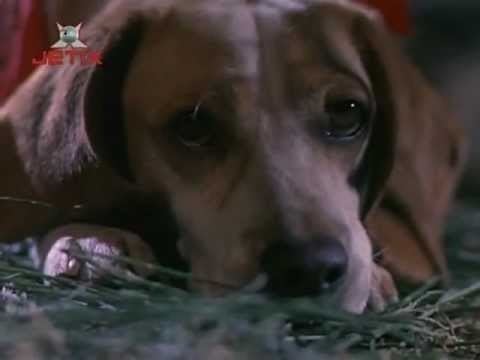 Rusty: A Dog's Tale Kathy Fisher Theres A Place Rusty A Dogs Tale OST YouTube