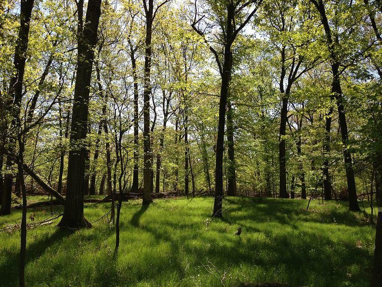 Rutgers Ecological Preserve