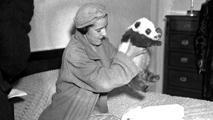 Ruth Harkness The Lady and the Panda Ruth Harkness Biopic in the Works