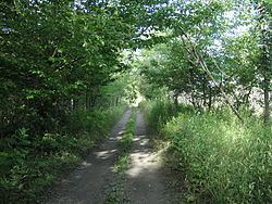 Rutland Trail httpsuploadwikimediaorgwikipediacommonsthu